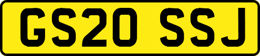 GS20SSJ