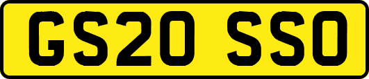GS20SSO