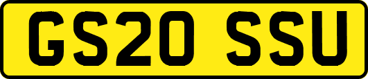 GS20SSU