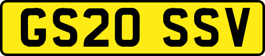 GS20SSV