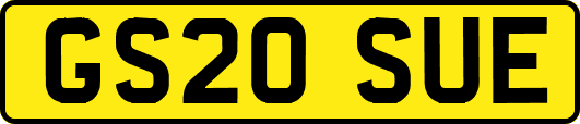 GS20SUE