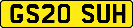 GS20SUH