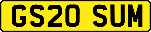 GS20SUM