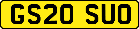 GS20SUO