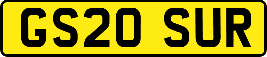 GS20SUR