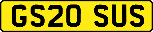 GS20SUS