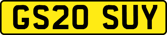 GS20SUY