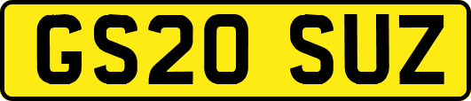 GS20SUZ