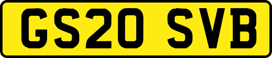 GS20SVB
