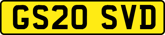 GS20SVD