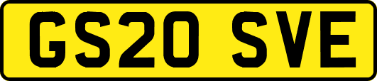 GS20SVE