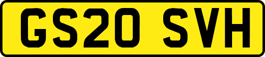 GS20SVH