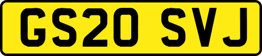 GS20SVJ