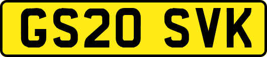 GS20SVK