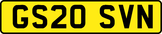 GS20SVN
