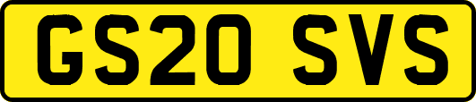 GS20SVS