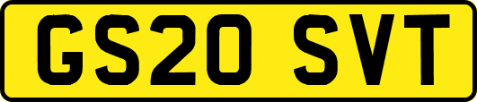 GS20SVT