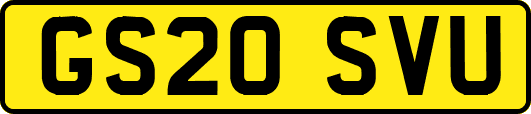 GS20SVU