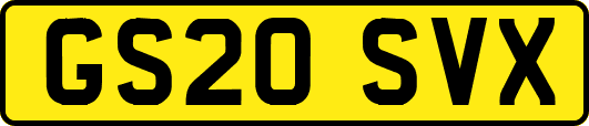 GS20SVX