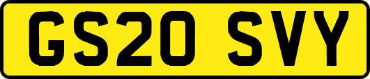 GS20SVY