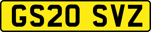GS20SVZ