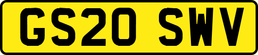 GS20SWV