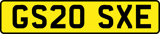 GS20SXE