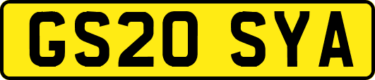 GS20SYA