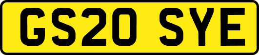 GS20SYE