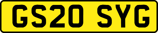 GS20SYG