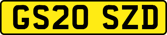 GS20SZD