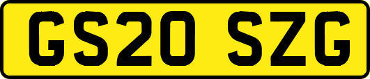 GS20SZG