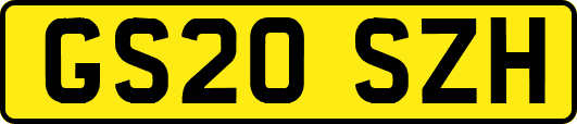 GS20SZH