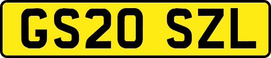 GS20SZL