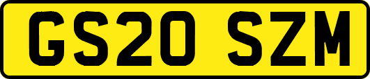 GS20SZM