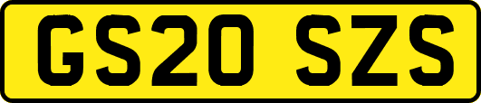 GS20SZS