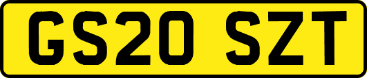 GS20SZT