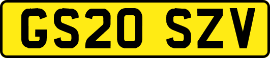 GS20SZV