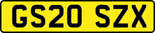 GS20SZX