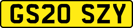 GS20SZY