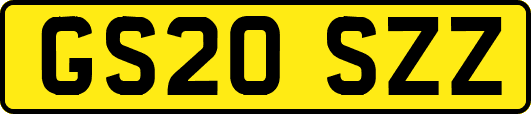 GS20SZZ