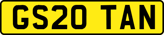 GS20TAN