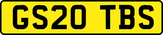 GS20TBS