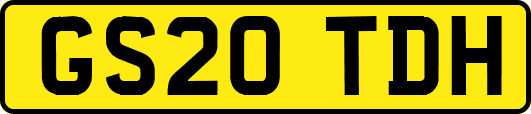 GS20TDH