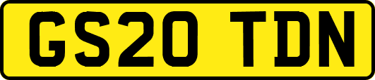 GS20TDN