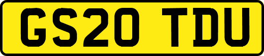 GS20TDU