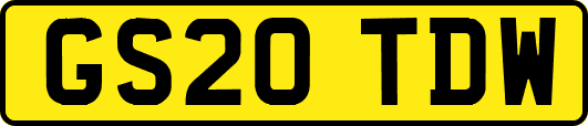GS20TDW