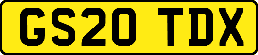 GS20TDX