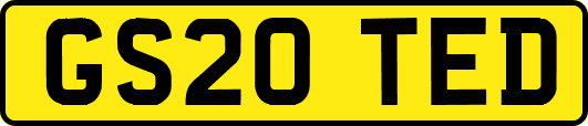 GS20TED