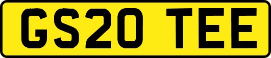 GS20TEE